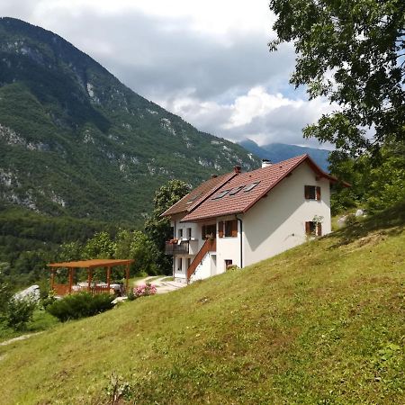 Apartma Elizabeth Daire Srpenica Dış mekan fotoğraf