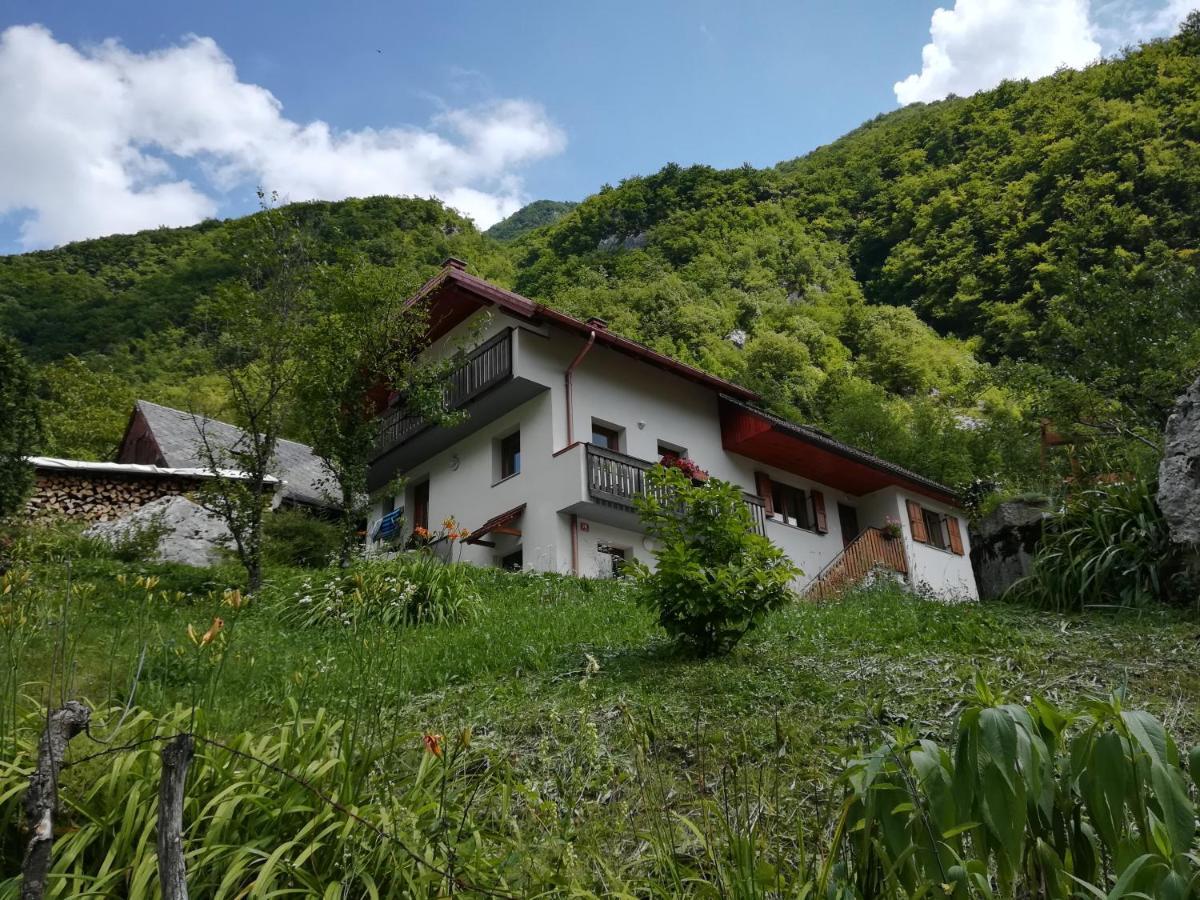 Apartma Elizabeth Daire Srpenica Dış mekan fotoğraf